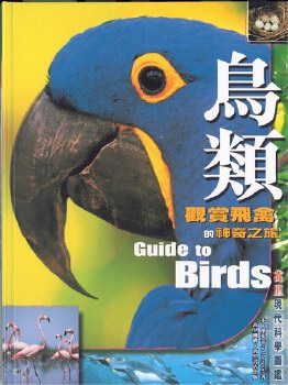 鳥類──觀賞飛禽的神奇之旅