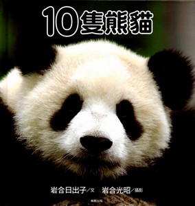 十隻熊貓