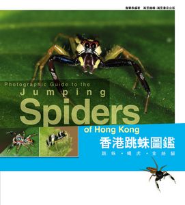 香港跳蛛圖鑑──跳蛛．蠅虎．金絲貓