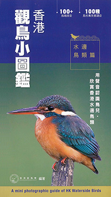 香港觀鳥小圖鑑：水邊鳥類篇