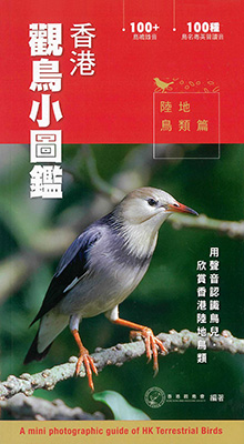 香港觀鳥小圖鑑：陸地鳥類篇