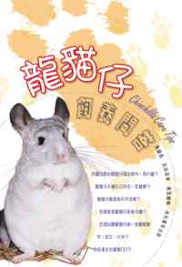 龍貓仔飼養問答