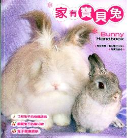 家有寶貝兔