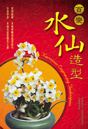 百變水仙造型