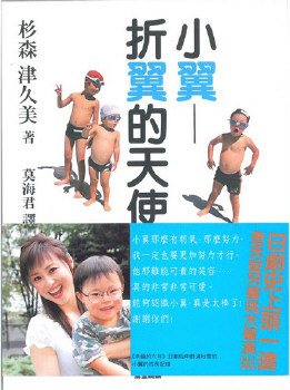 小翼──折翼的天使
