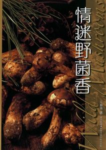 情迷野菌香