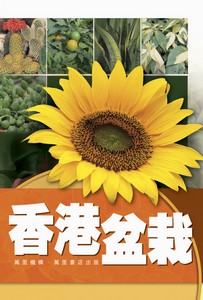 香港盆栽