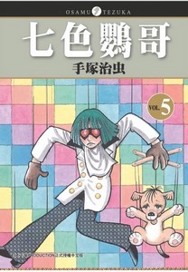 七色鸚哥 5