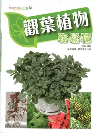 觀葉植物輕鬆栽