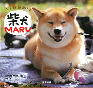 呆萌無敵！柴犬MARU