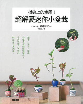 指尖上的幸福！超解憂迷你小盆栽