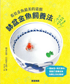 缽盆金魚飼養法：看見金魚最美的姿態