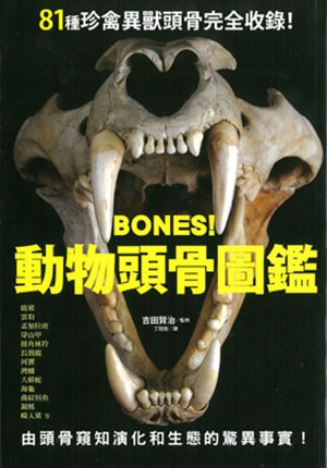 BONES！動物頭骨圖鑑