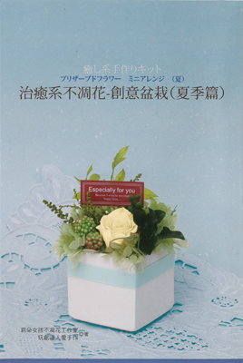 治癒系不凋花-創意盆栽（夏季篇）