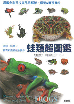 蛙類超圖鑑：品種、特徵、飼育知識統統告訴你