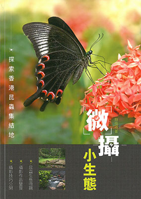 微攝小生態