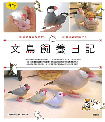 文鳥飼養日記：照顧X教養X遊戲，一起度過親親時光！