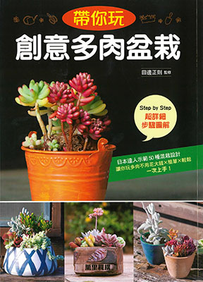 帶你玩創意多肉盆栽