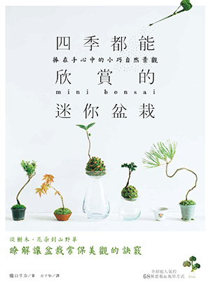四季都能欣賞的迷你盆栽：捧在手心中的小巧自然景觀