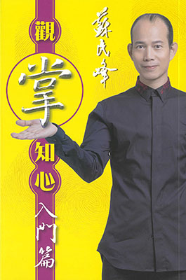 觀掌知心入門篇