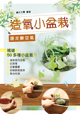 造氧小盆栽  踢走髒空氣