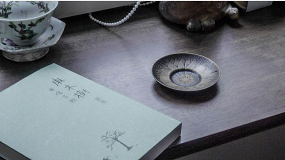 視像傳真