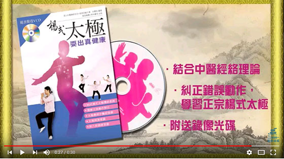 視像傳真