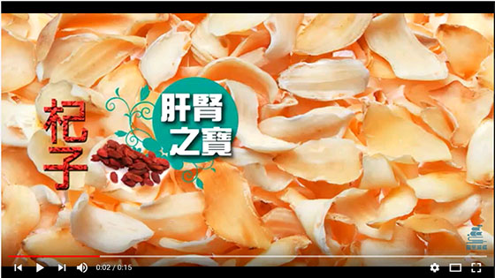 視像傳真