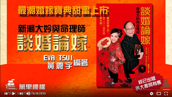 視像傳真