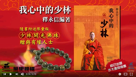 視像傳真